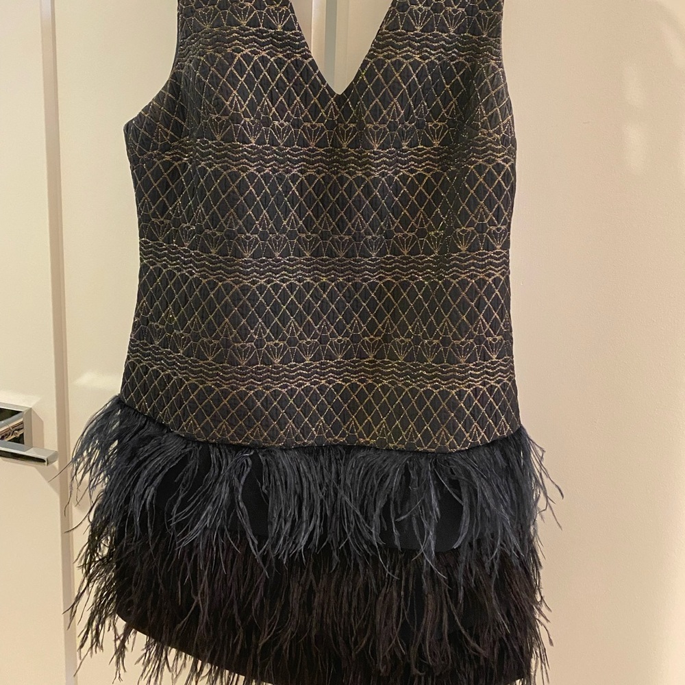 Ark & Co cocktail dress with feathers.